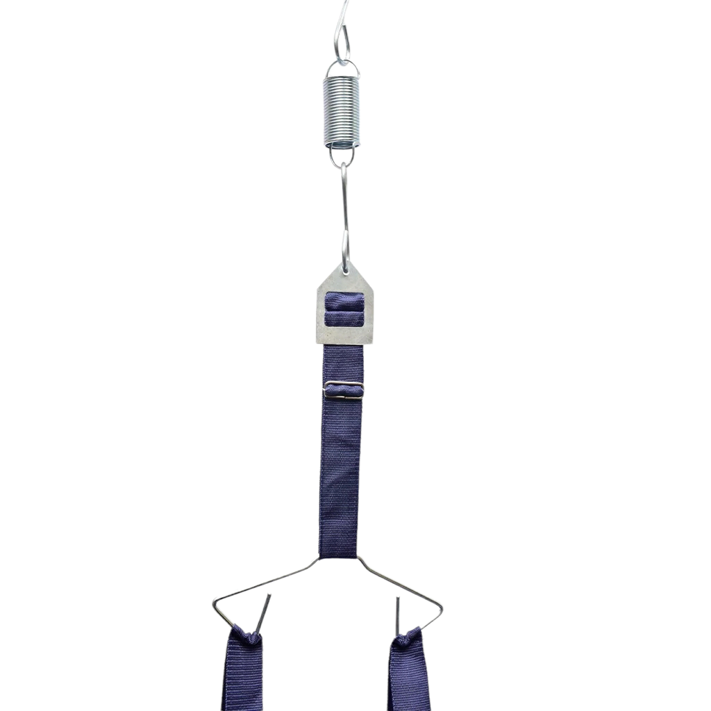 Exer Door Jumper + Swing