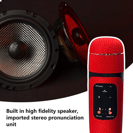portable microphone speaker image 3