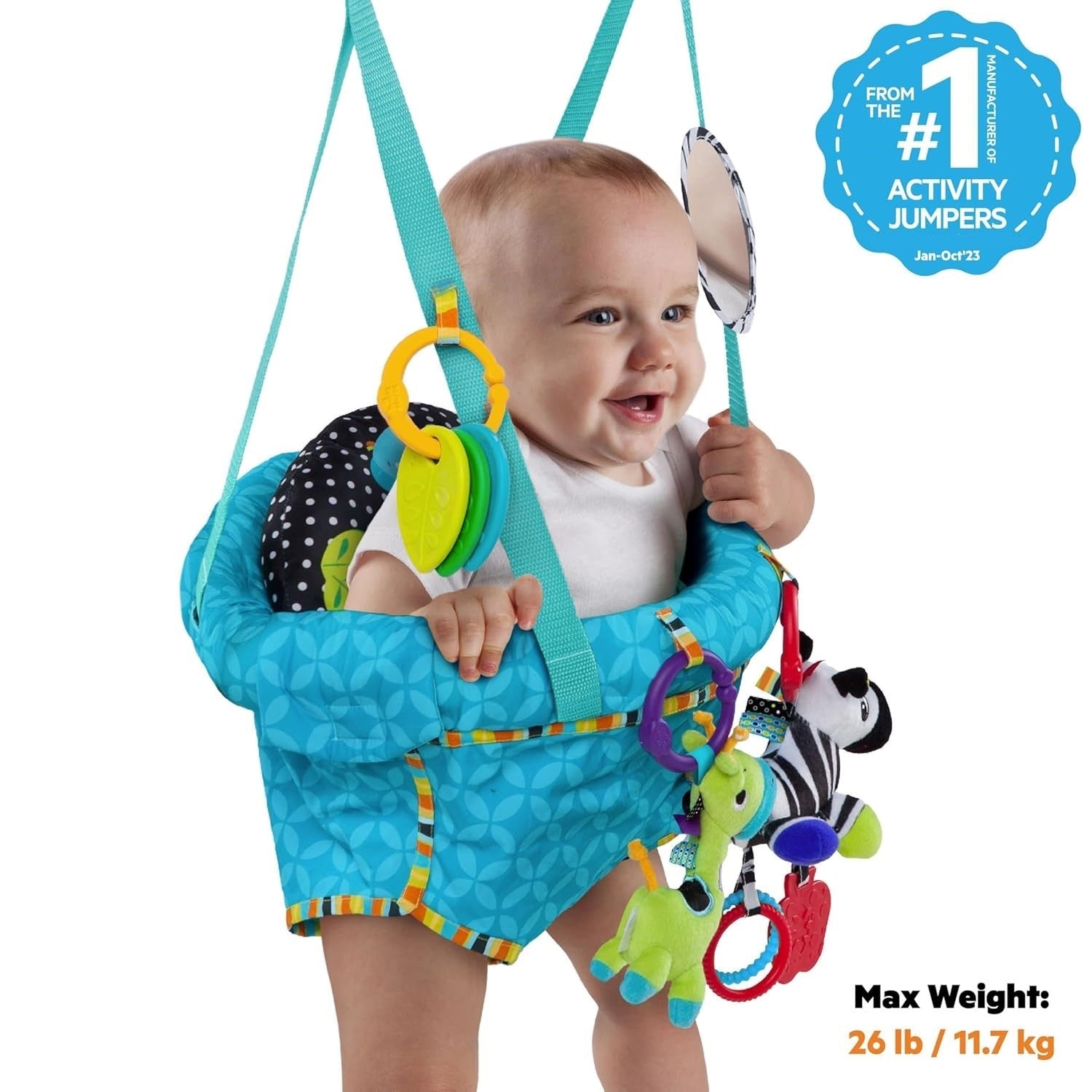 Ingenuity/Bright Start Baby Door Jumper