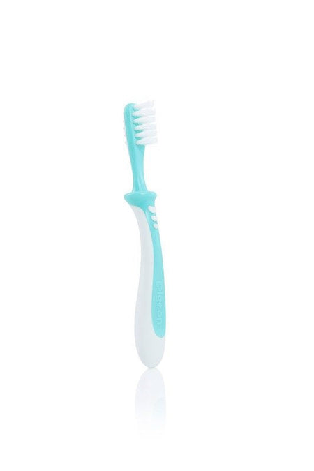 Pigeon Training Toothbrush Lesson 3 Green-K78342-1
