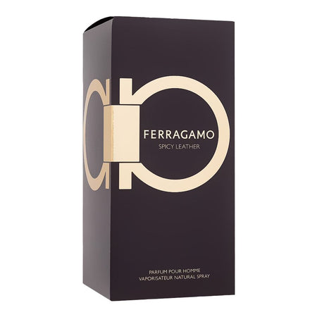 Salvatore Ferragamo Spicy Leather Perfume, For Men, 100ml - Image 2