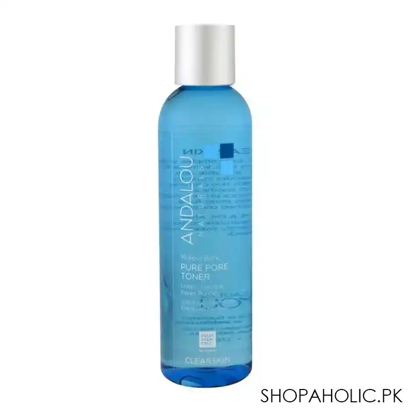 andalou aloe + willow bark pore minimizer 178ml main image