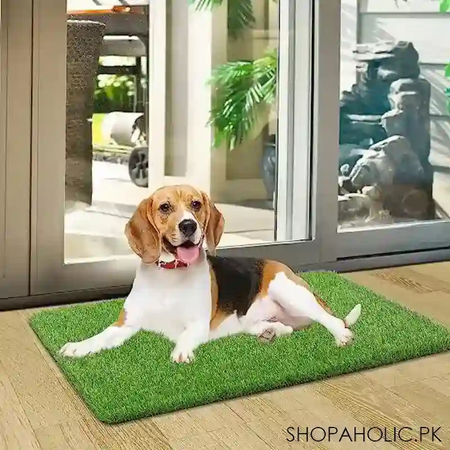 artificial grass door mat image3