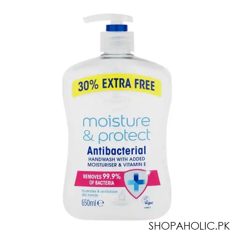 astonish moisture & protect antibacterial hand wash, 650ml main image