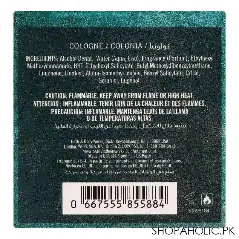 bath & body works fresh water pour homme cologne, for men, 100ml image4