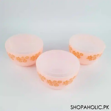 beli plastic (set of 3) printed bowl   400ml image2