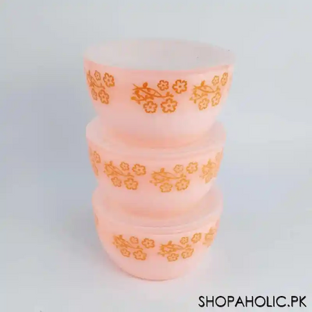beli plastic (set of 3) printed bowl   400ml main image
