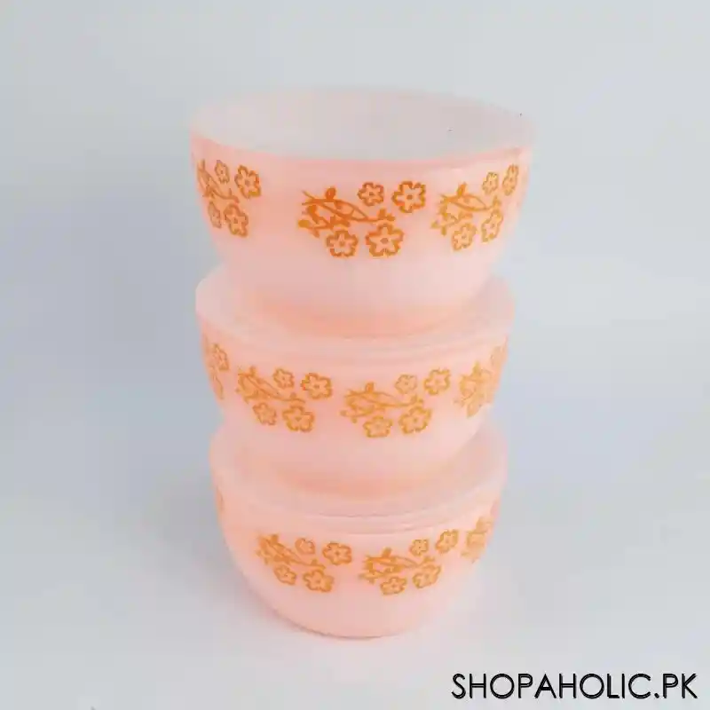 beli plastic (set of 3) printed bowl   400ml main image