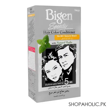 bigen speedy hair color conditioner, natural black 881 main image