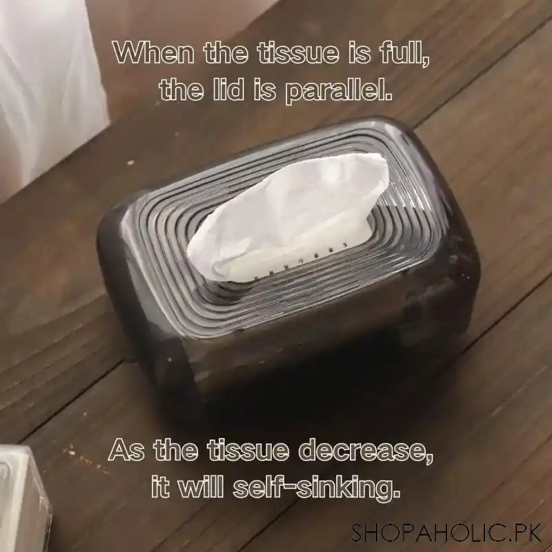 bunny sit tissue box image4