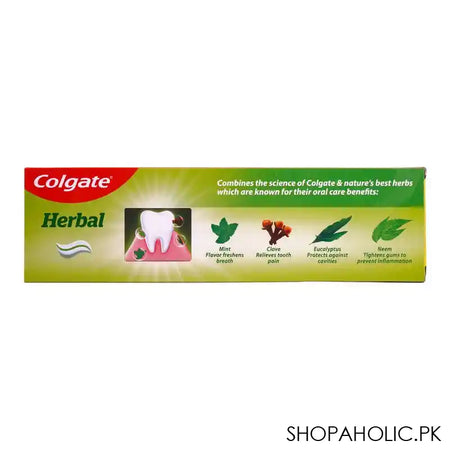 Colgate Herbal Tooth Paste, Buy 1 Get 1 Free, 200g + 100g - Image 3