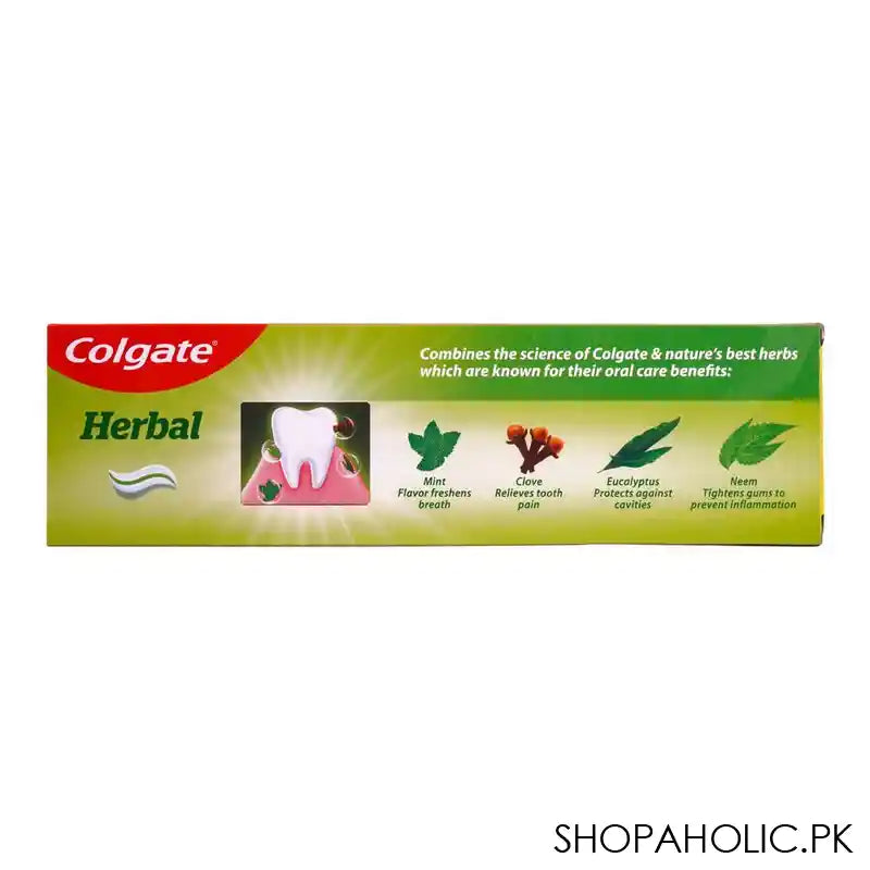 Colgate Herbal Tooth Paste, Buy 1 Get 1 Free, 200g + 100g - Image 3