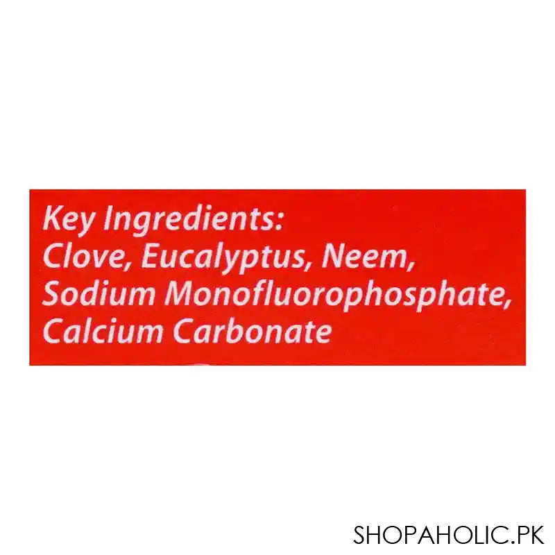 Colgate Herbal Tooth Paste, Buy 1 Get 1 Free, 200g + 100g - Image 4