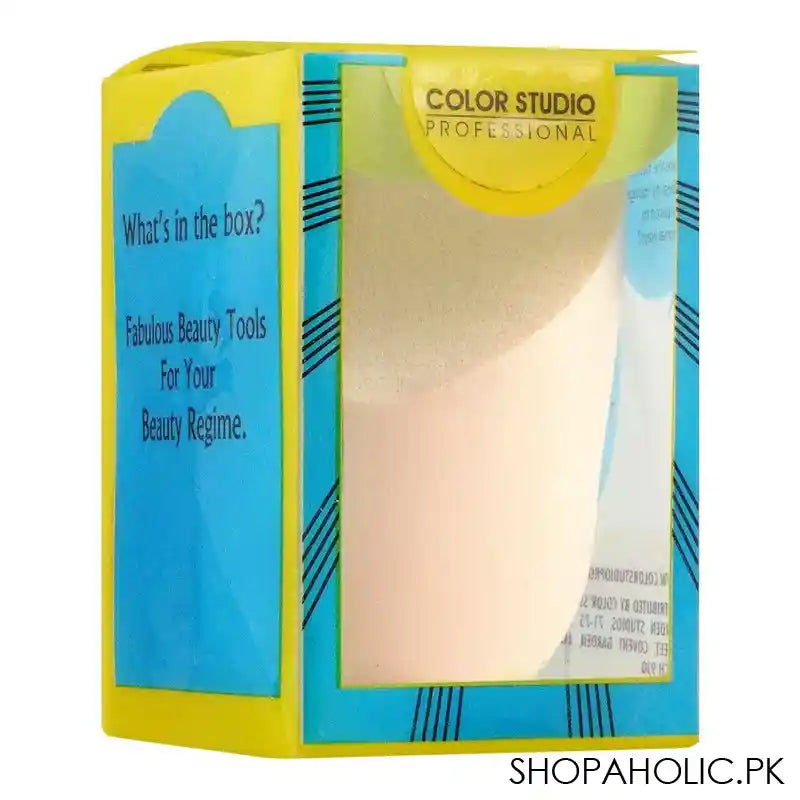 Color Studio Flat End Sponge Multi, 1-Pack - Main Image