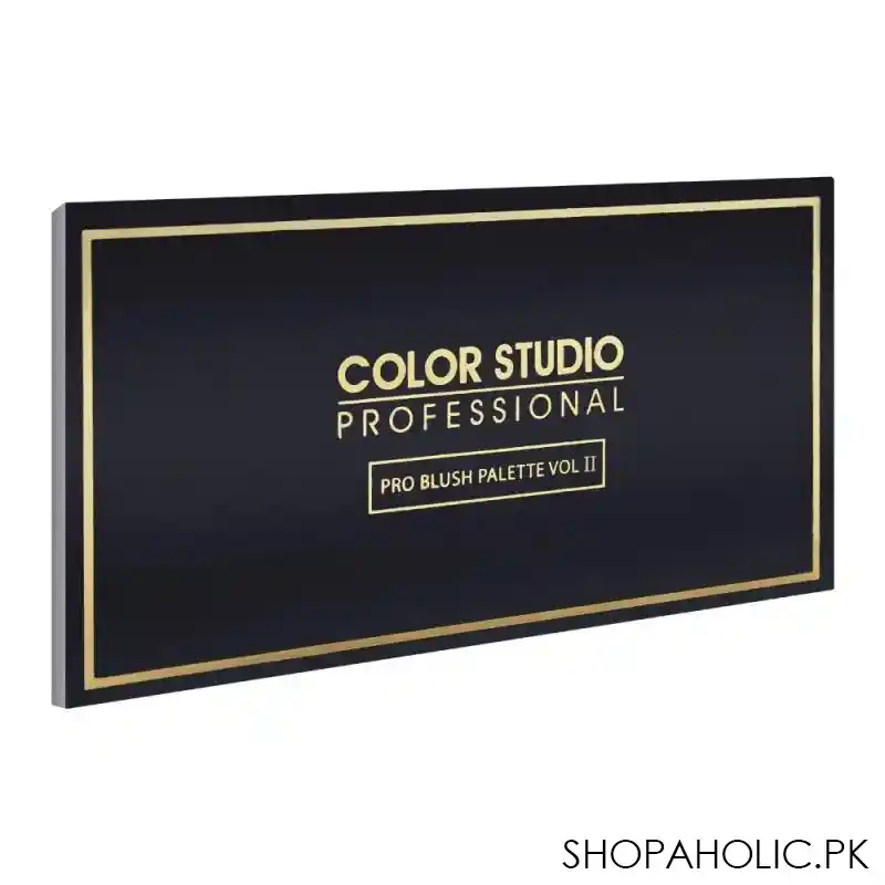 color studio pro blush palette vol 2 image2