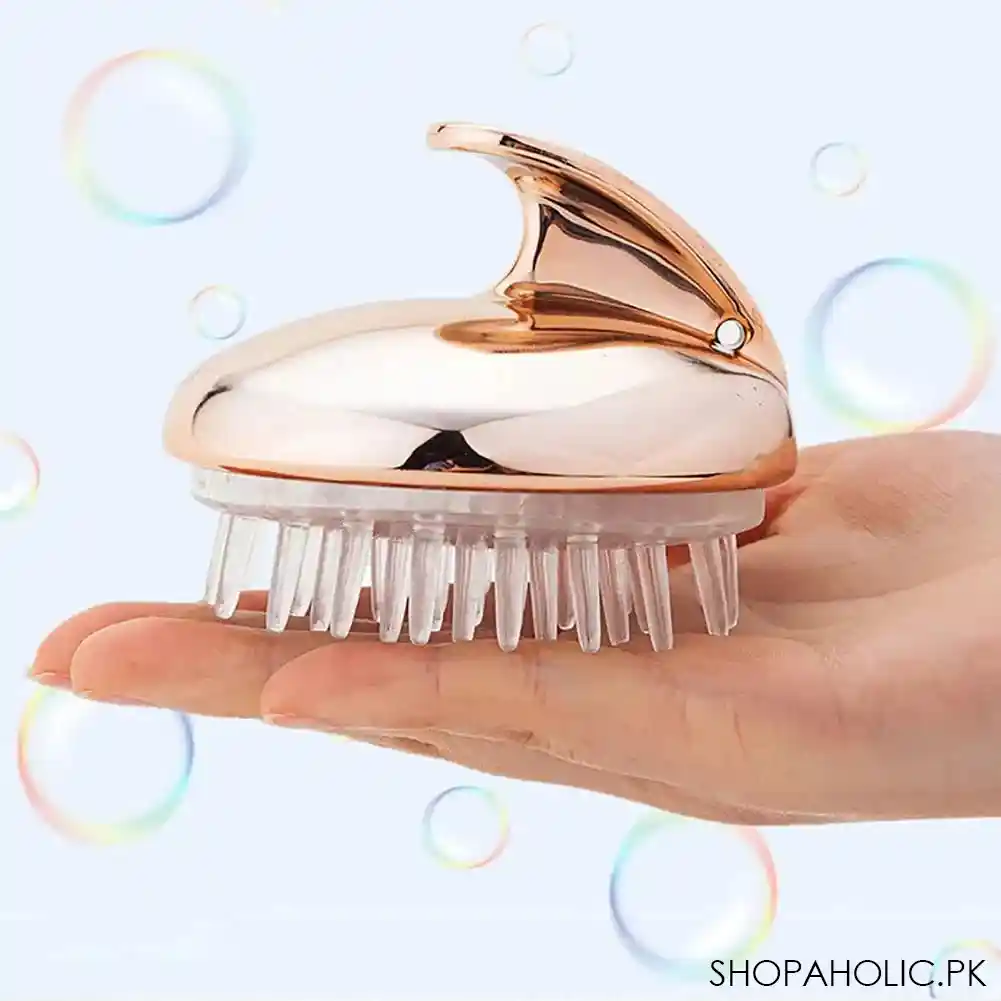 colorful scalp brush main image