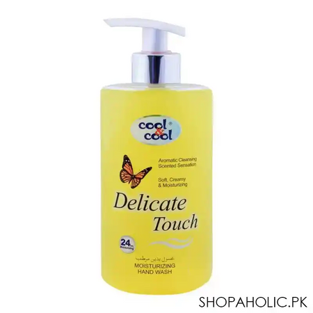 cool & cool delicate touch moisturizing hand wash 500ml main image