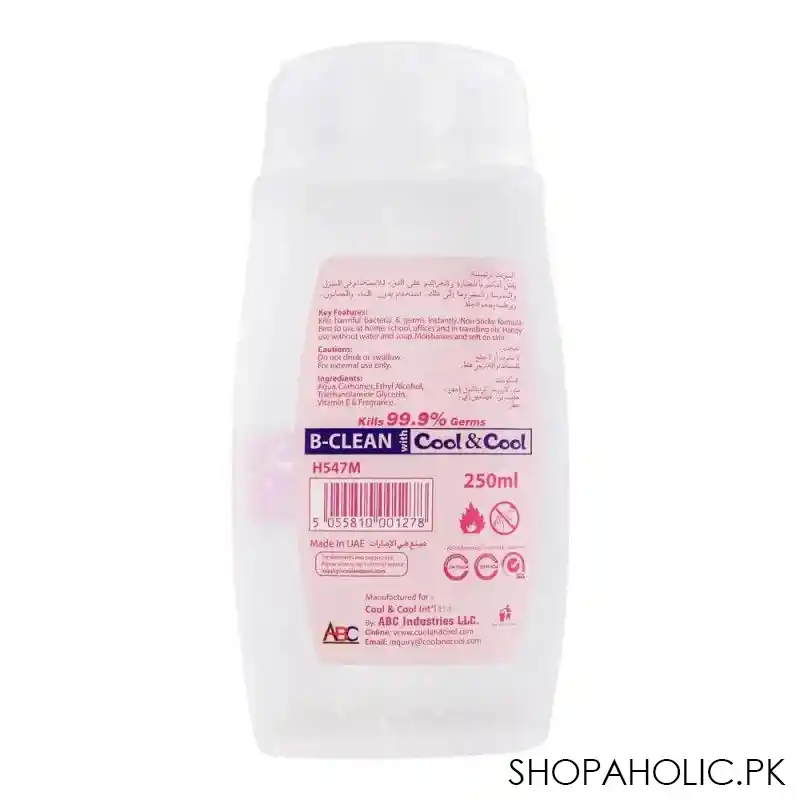 cool & cool max fresh hand sanitizer 250ml image2