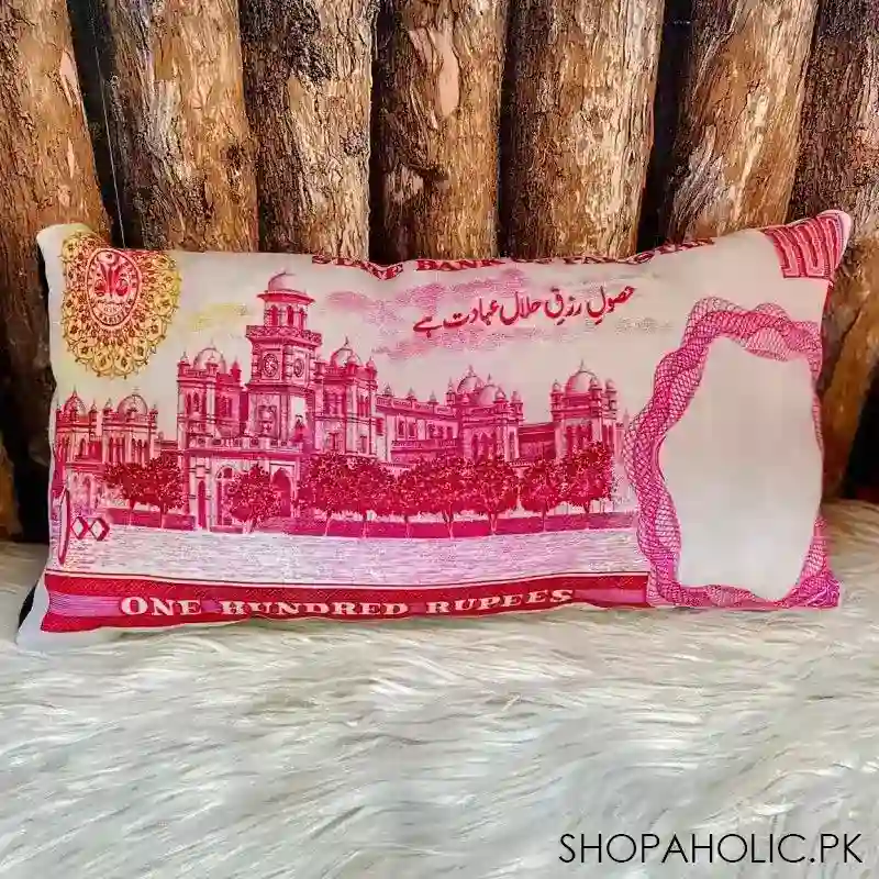 currency cushion image2