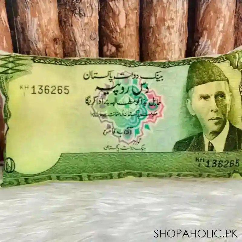 currency cushion image3
