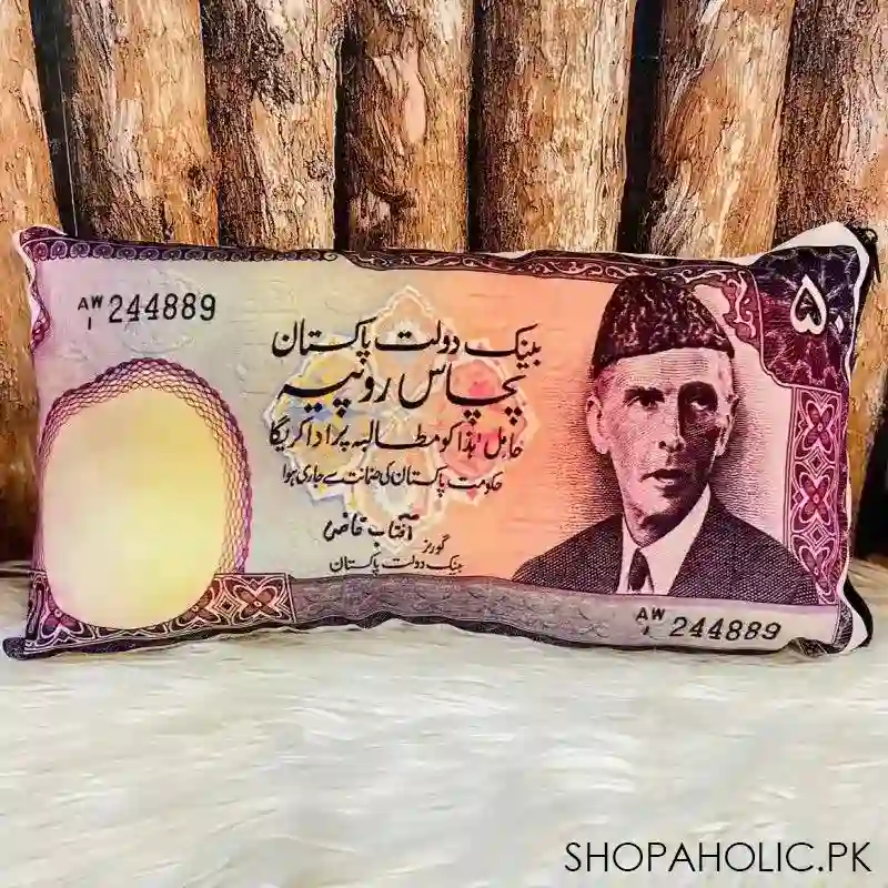 currency cushion image5