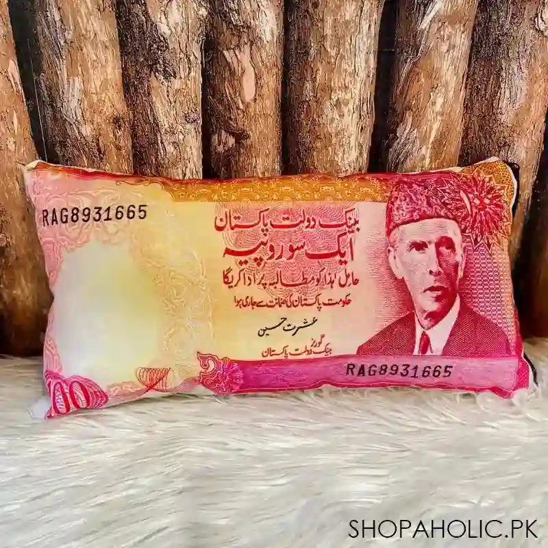 currency cushion main image