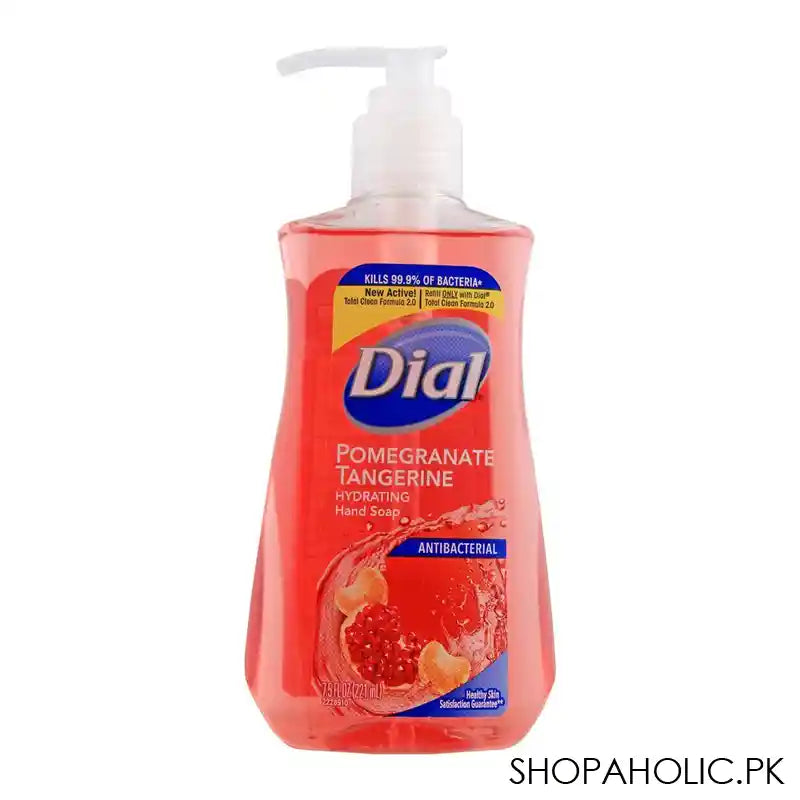 Dial Pomegranate Tangerine Hydrating Antibacterial Liquid Hand Soap, 221ml - Main Image