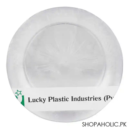 Disposable Plastic Paper Plate, Small - Main Image
