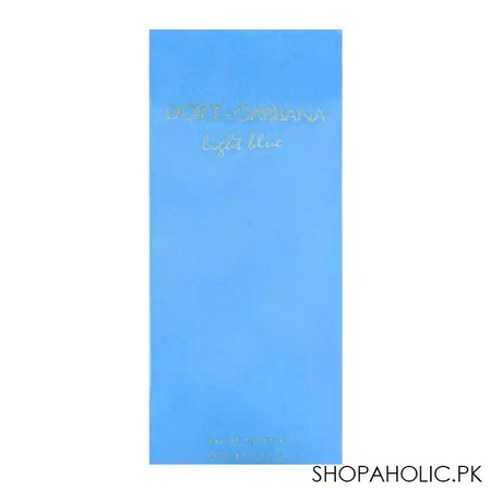 dolce & gabbana light blue women eau de toilette 100ml image2