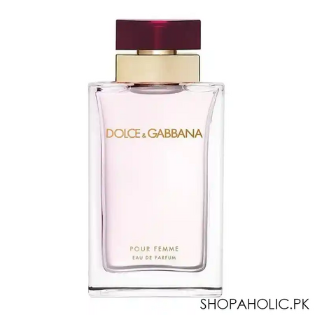 dolce & gabbana pour femme eau de parfum 100ml main image