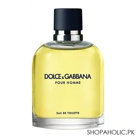 dolce & gabbana pour homme eau de toilette 125ml main image