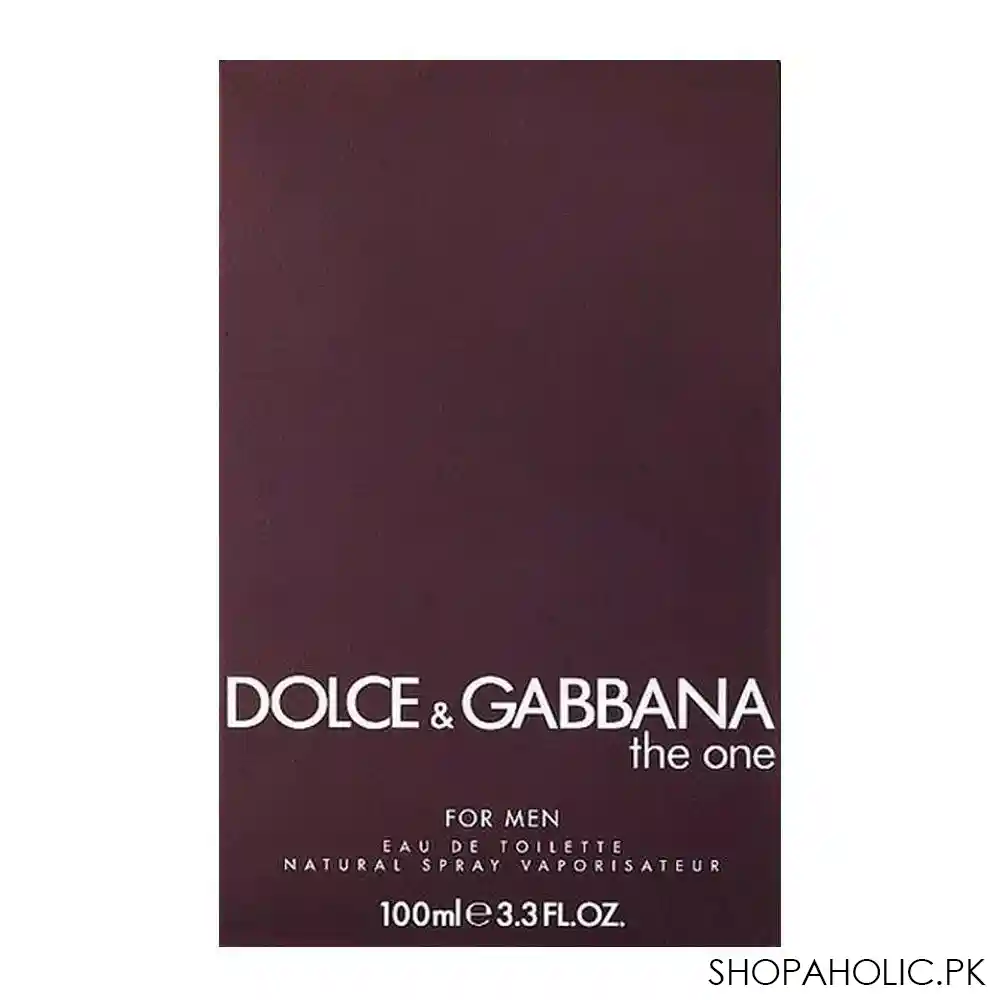dolce & gabbana the one for men eau de toilette 100ml image2