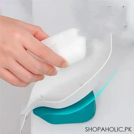 dolphin drain soap holder image3