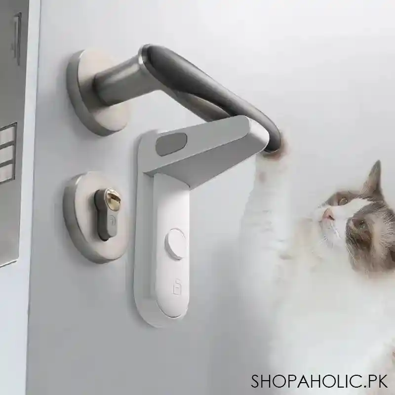 door lever lock image5