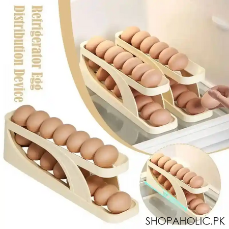 double layer automatic egg scrolling rack image3