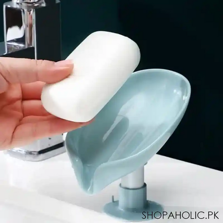 drain soap holder image2