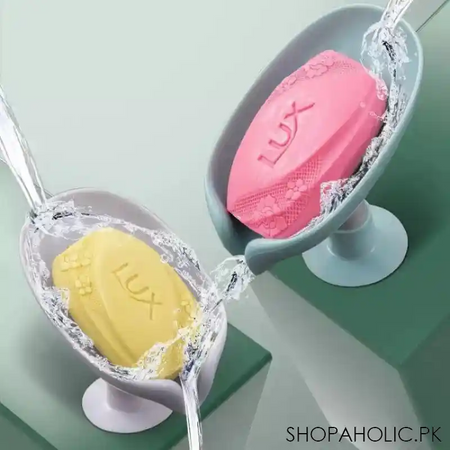 drain soap holder main image
