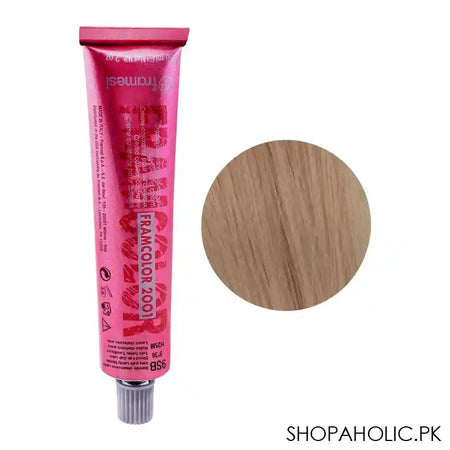 Framesi Framcolor 2001 Hair Colouring Cream, 9SB Very Pale Sandy Blonde - Image 6