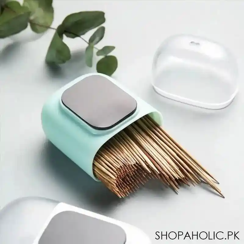 fridge magnetic toothpick holder image2
