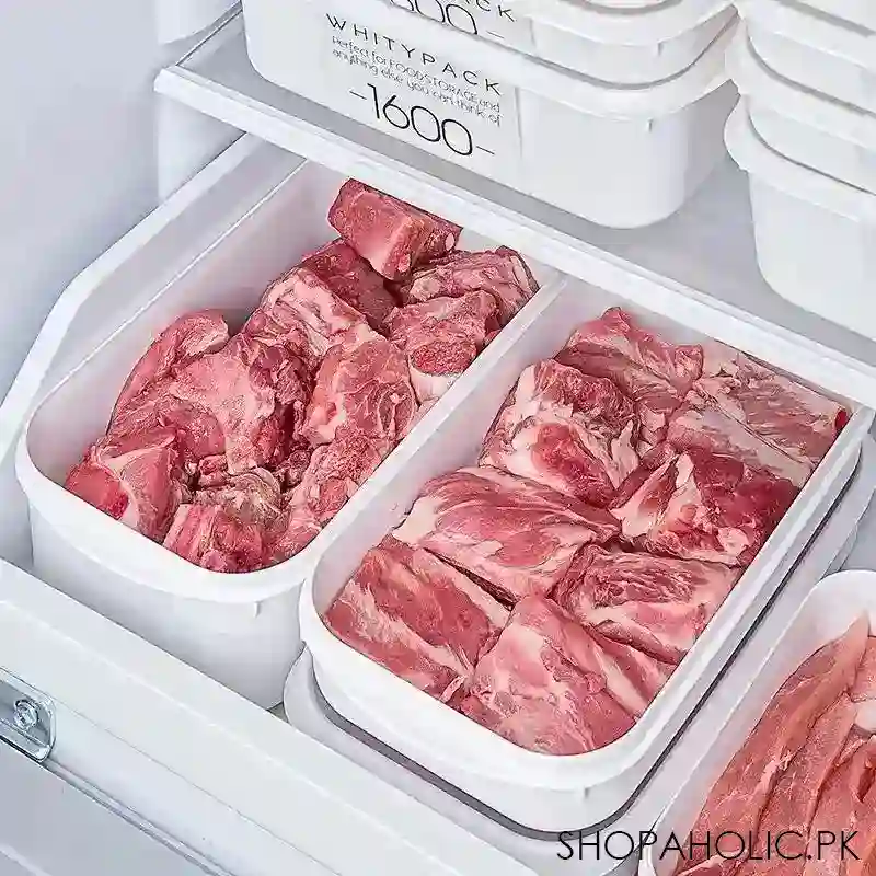 frozen meat container image2