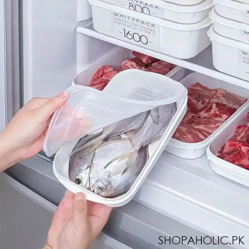 frozen meat container image3