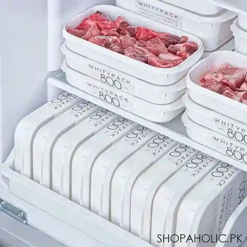 frozen meat container image4