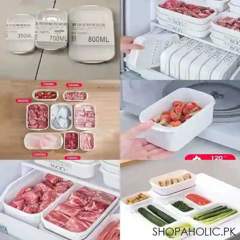 frozen meat container image5