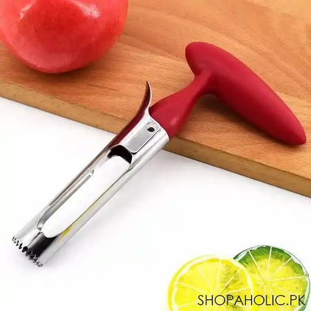 fruit corer image2