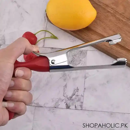 fruit corer image3