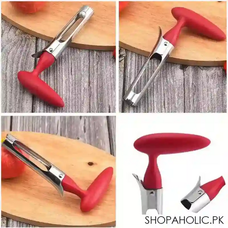 fruit corer image5