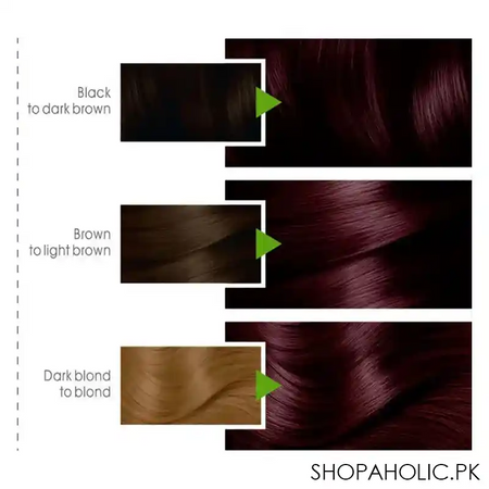 garnier color natural hair color 3.3 image4