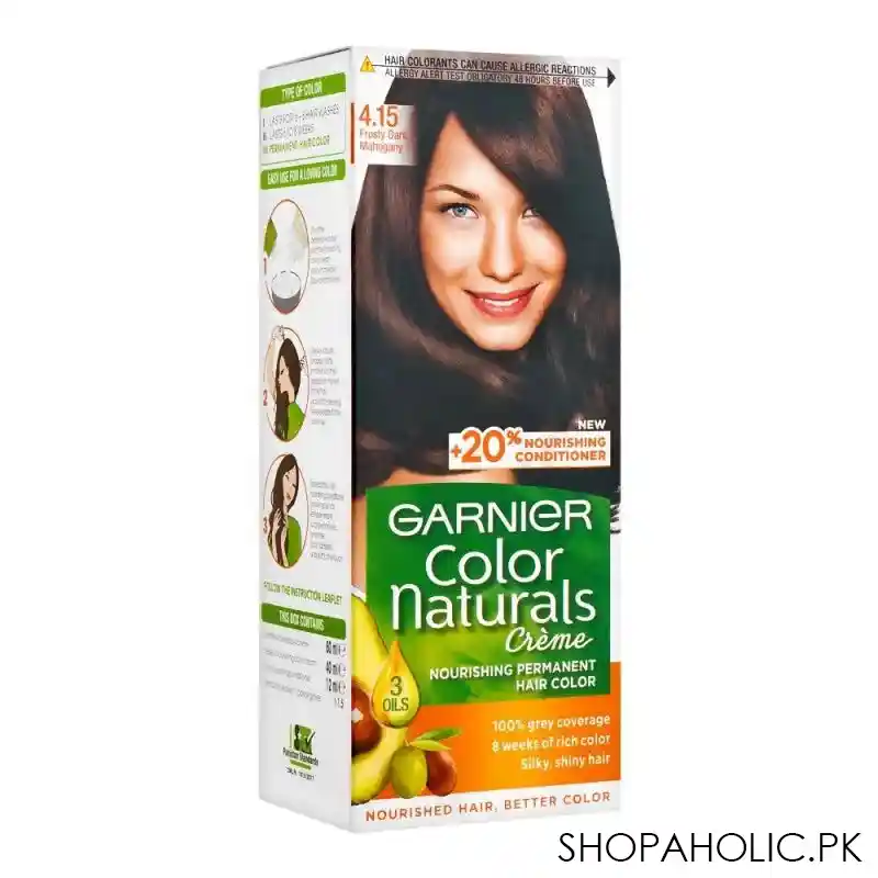 garnier color natural hair color 4.15 main image