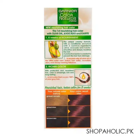 garnier color natural hair color 4.6 image2
