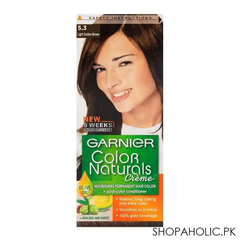 garnier color natural hair color 5.3 main image